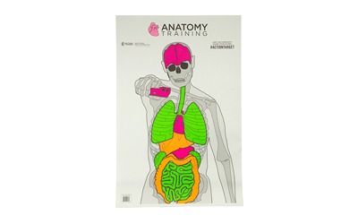 Action Target Anatomy Training Target, Multi Color, 23"x35", 100 Per Box GS-ANATOMY-100